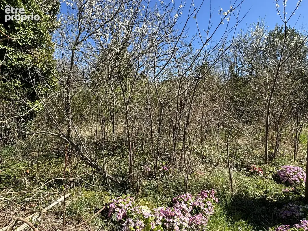 Terrain à bâtir de 650 m2 - proche centre de La Ferté Saint Aubin - photo 2