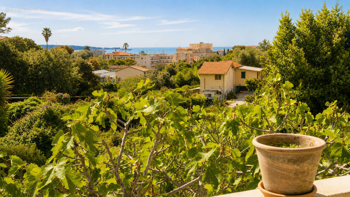Maison à VALLAURIS