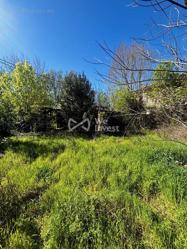 Terrain à MONTFORT-SUR-ARGENS