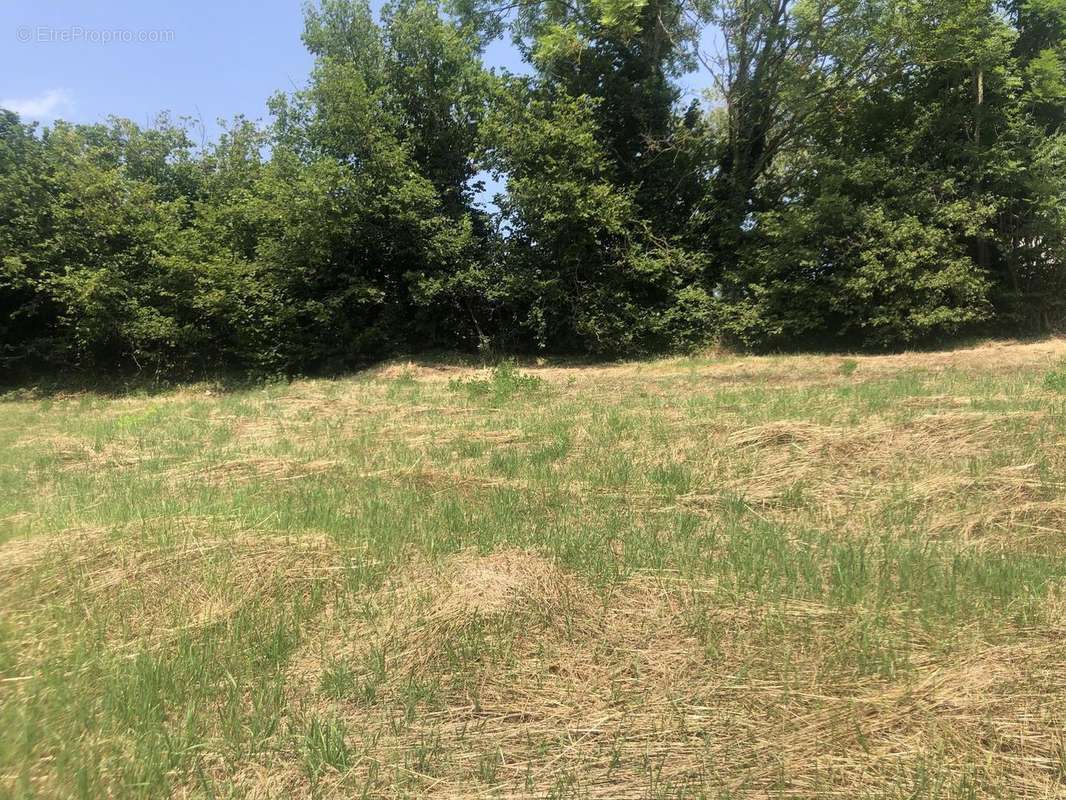 Photo 3 - Terrain à AMPLEPUIS