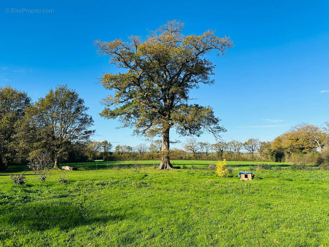 Maison à LES LUCS-SUR-BOULOGNE