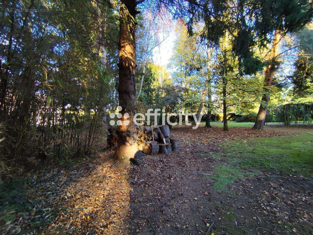 Maison à SAINTE-GAUBURGE-SAINTE-COLOMBE