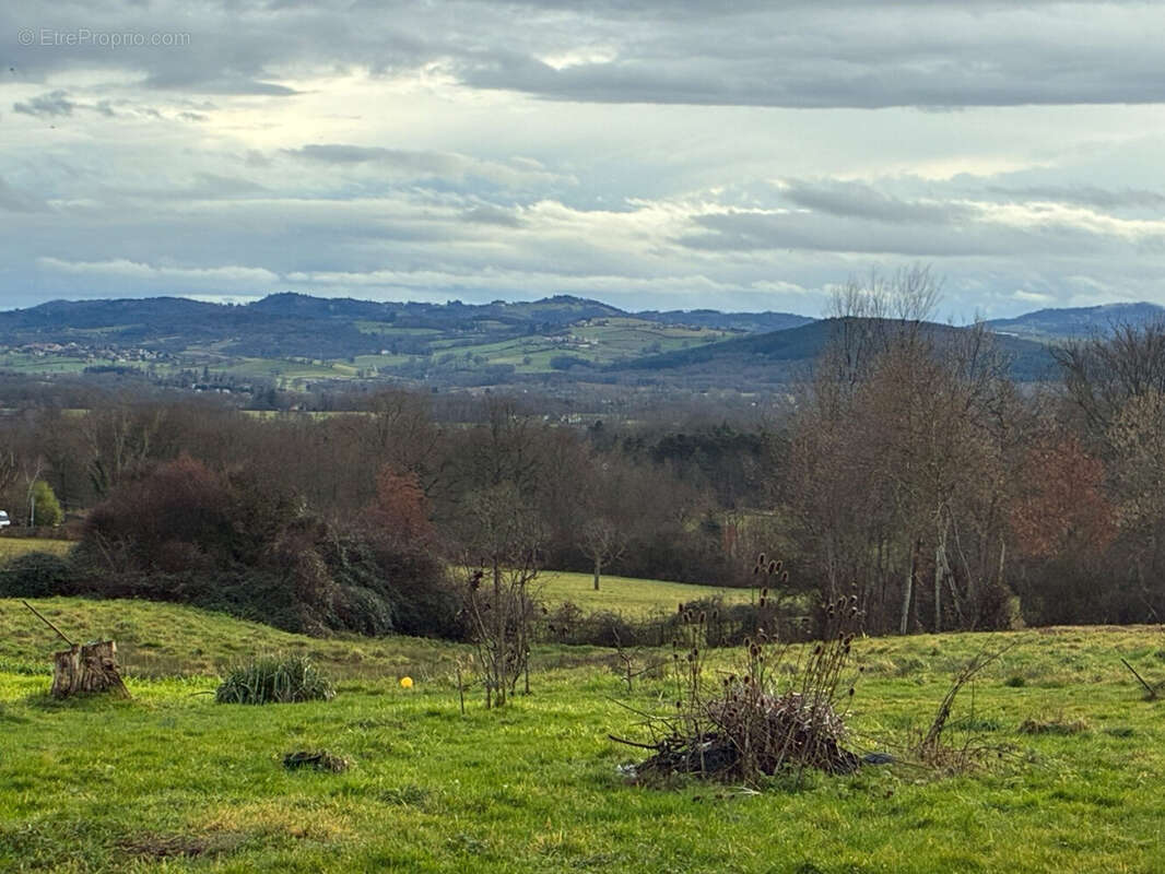 Terrain à BORT-L'ETANG