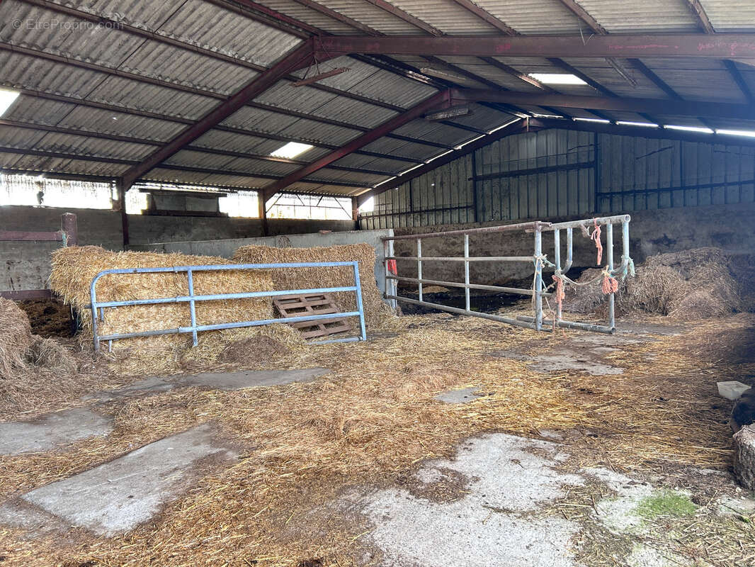 Commerce à FESMY-LE-SART