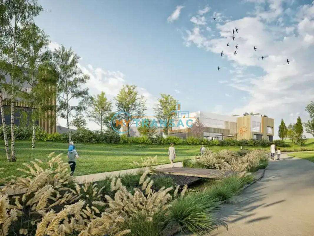 Commerce à LOUVRES