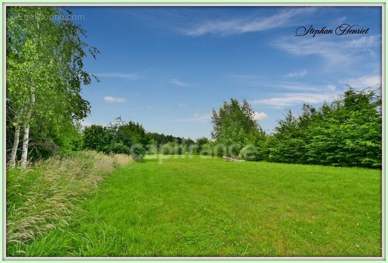 Terrain à BOULT-AUX-BOIS