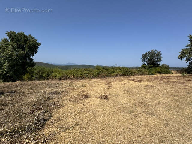 Maison Pieraggi   Terrain à bâtir de 1 839 m2 avec Permis de construire   129 000 € - photo 2