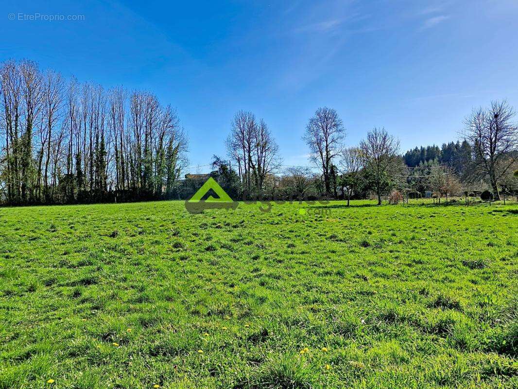 Terrain à PONTARION