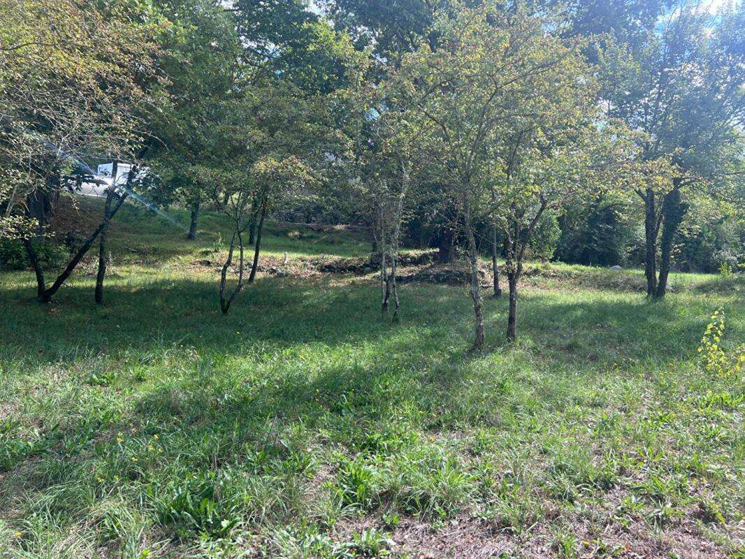 Terrain à SAINT-JEAN-DE-MARUEJOLS-ET-AVEJAN