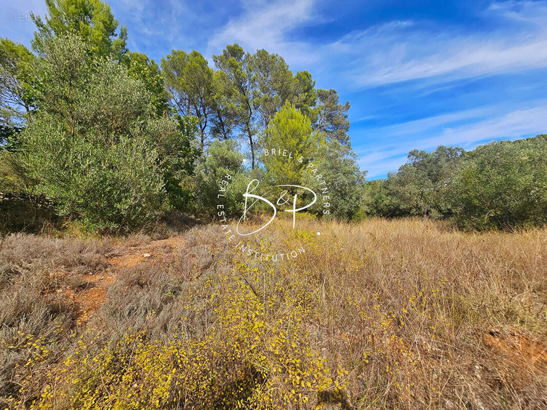 Terrain à DRAGUIGNAN