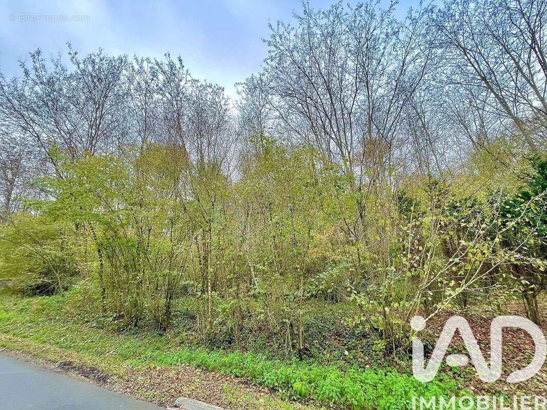 Photo 3 - Terrain à LE BLANC