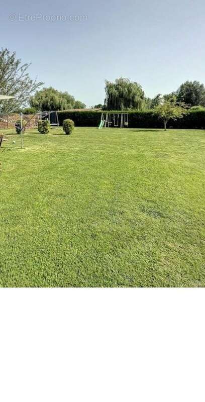 jardin maison 1 - Appartement à ABBEVILLE