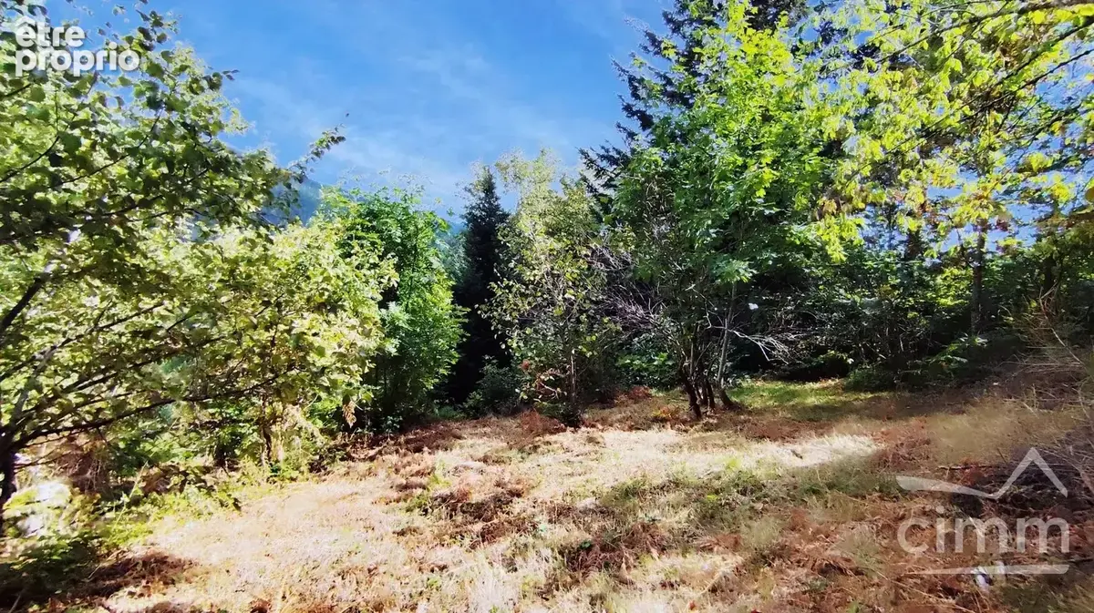 Maison au milieu des bois - photo 12