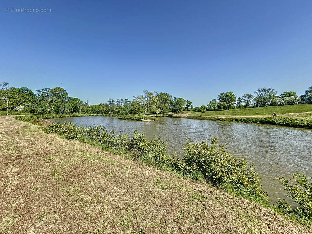 Maison à SAINT-SAUVEUR-LE-VICOMTE