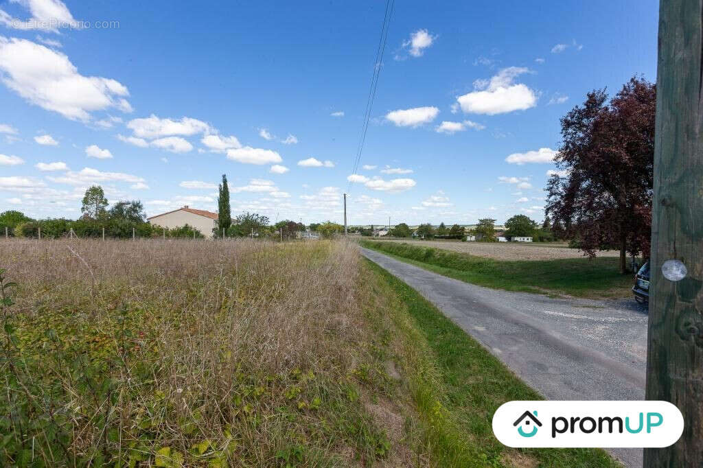 Terrain à FONTAINES-D'OZILLAC