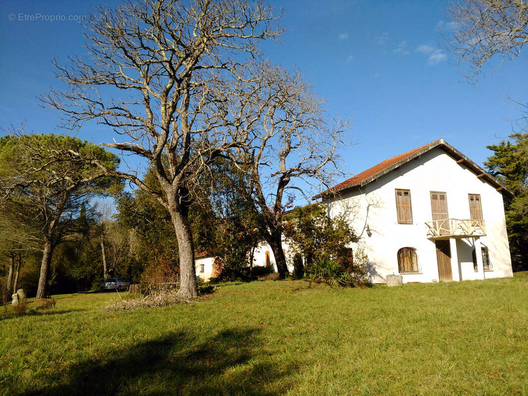 Maison à PUYLAURENS