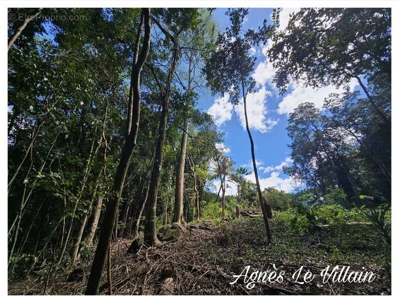 Terrain à BOUILLANTE