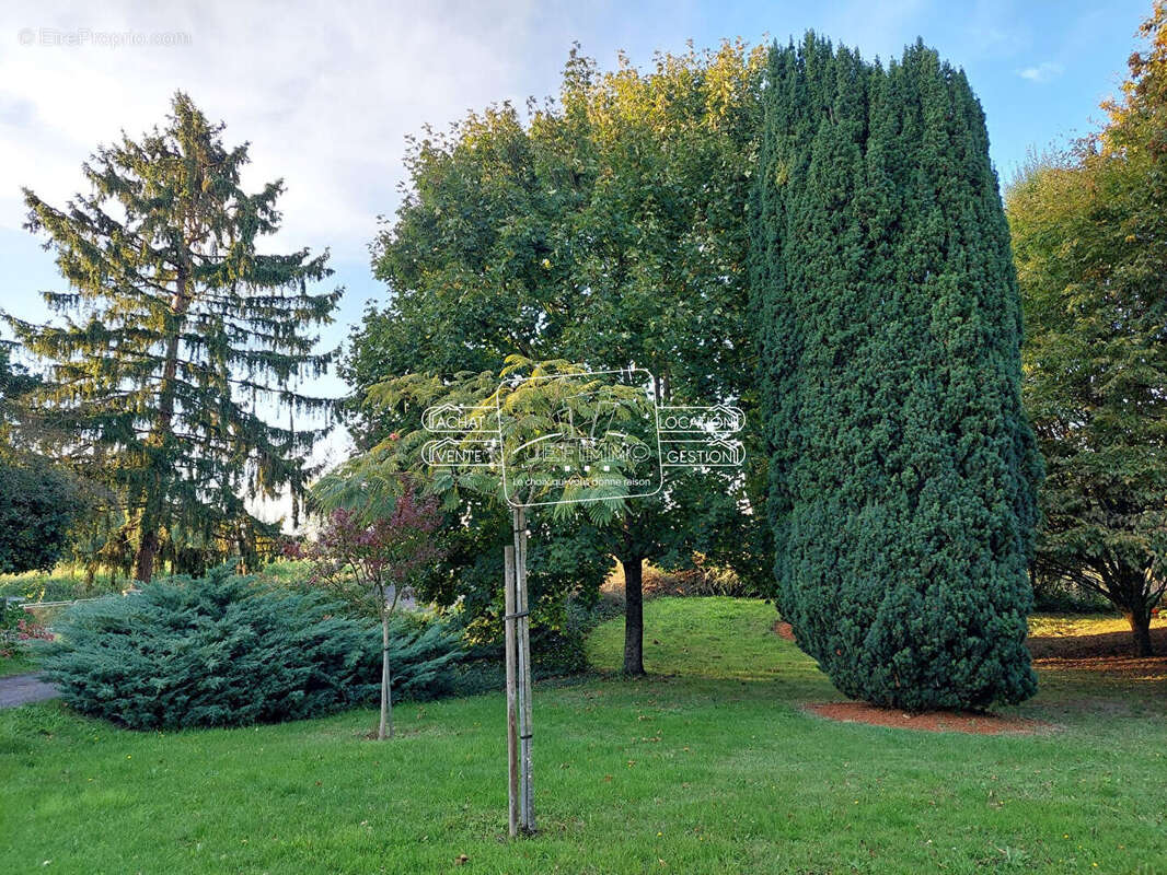 Maison à SAINT-JULIEN-DE-CONCELLES