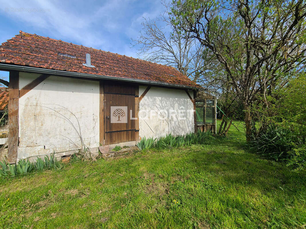 Appartement à CHAMBON-LA-FORET