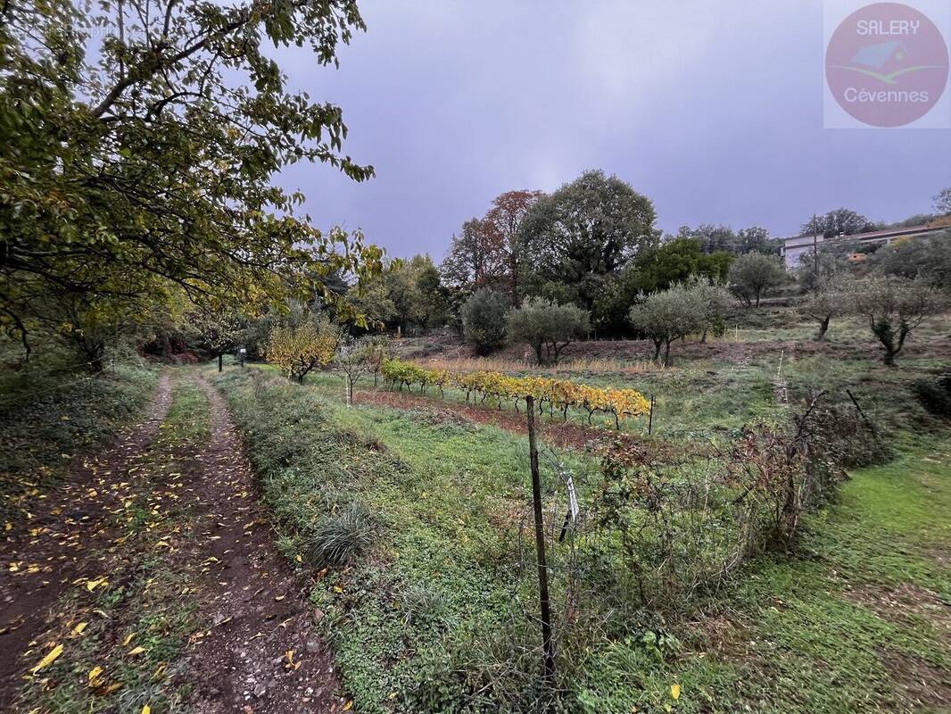 Terrain à MONOBLET