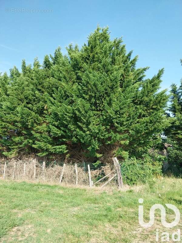 Photo 3 - Terrain à CAZES-MONDENARD