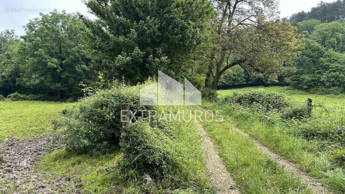 A vendre en exclusivite au coeur du village de challes la montagne grand terrain constructible de 6188 m2 - photo 3