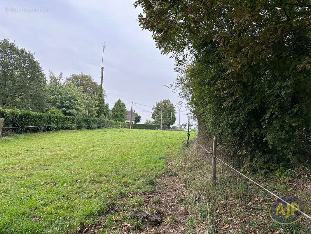 Terrain à LOUISFERT