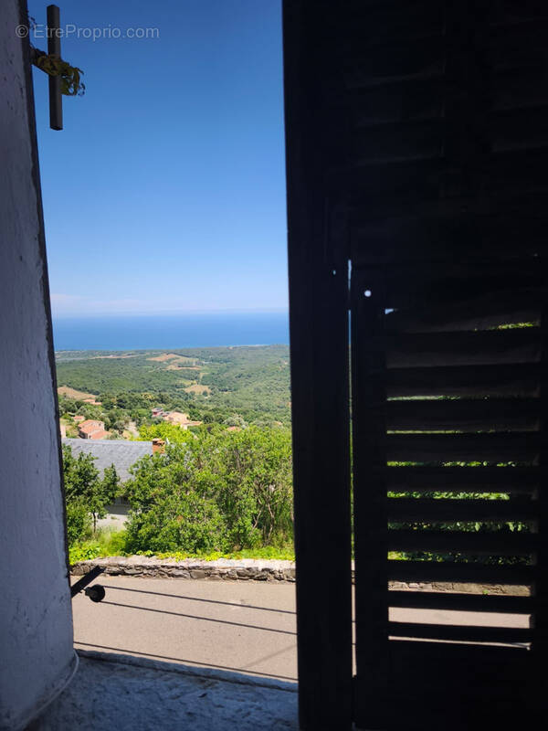 Appartement à CERVIONE