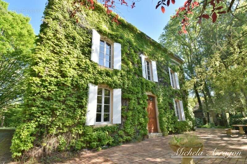 Dpt Lot et Garonne (47), à vendre PINEL HAUTERIVE propriete P6 de 240 m² - Terrain de 21 912,00 m² - photo 15