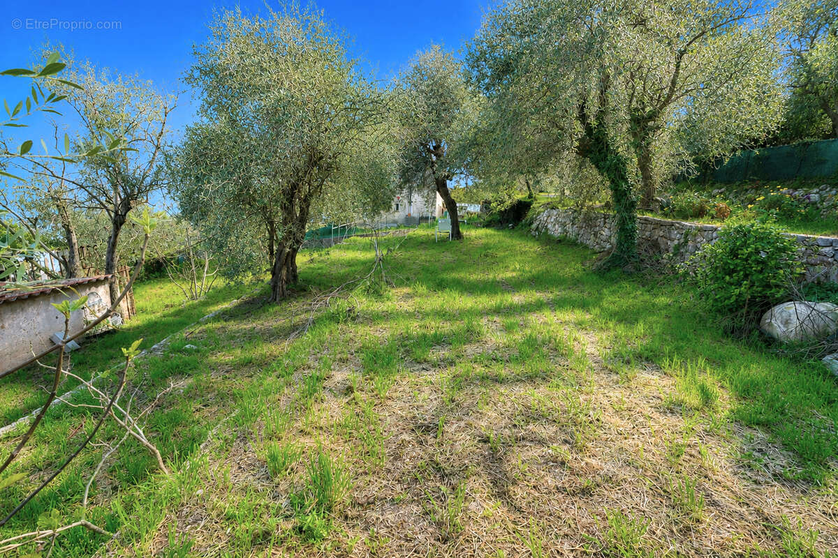 Terrain à SPERACEDES