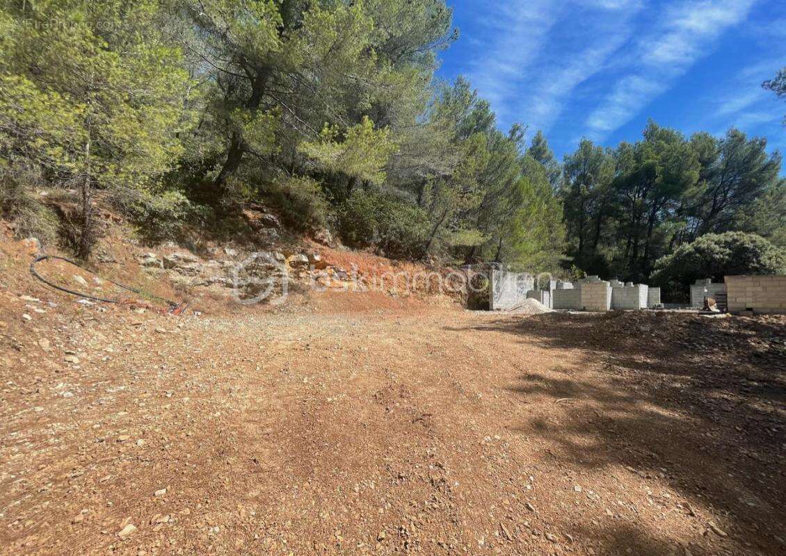 Terrain à SOLLIES-VILLE