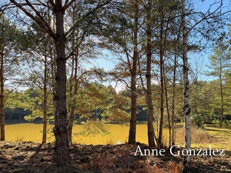 VIENNE EN VAL, à trente minutes d'ORLEANS aux portes de l'Orée de Sologne Propriété à vendre avec 24 hectares boisés et son étan - photo 17