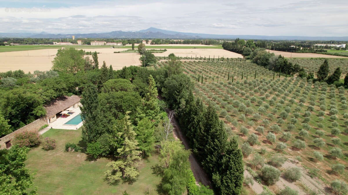 Maison de Maître, début 19ème, avec un parc de plus de 1 hectare. - photo 13