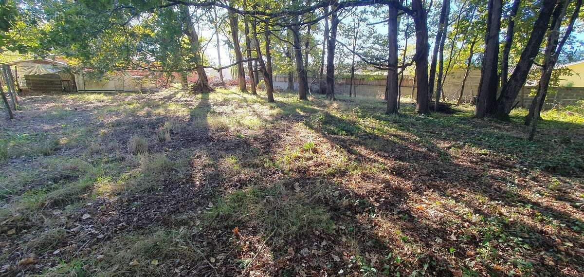 Terrain à SAINT-ANDRE-DE-CUBZAC