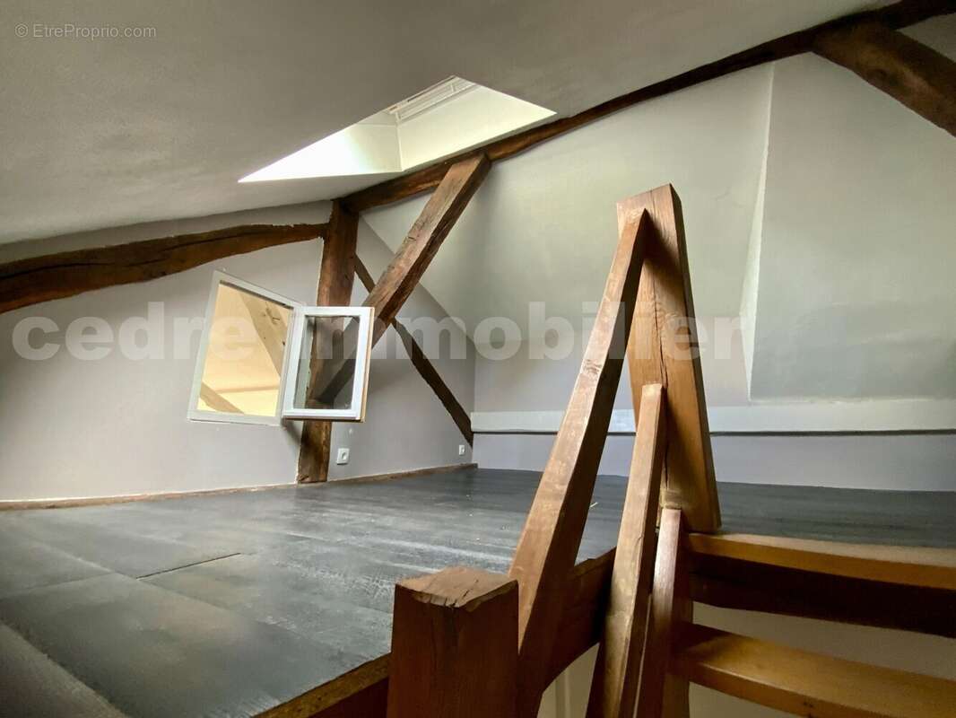 IMG_3403 - Appartement à OLIVET