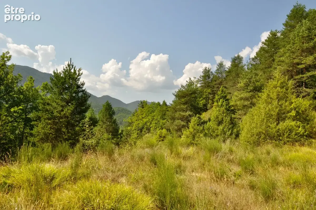 Dpt Alpes de Haute Provence (04), à vendre Proche ENTREVAUX Superbe terrain de plus d'un hectare avec vue montagnes - photo 5
