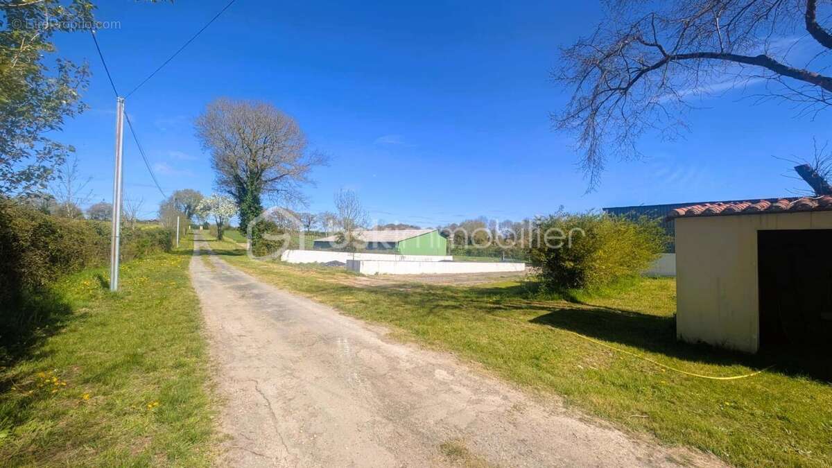 Longère en pierres  de PLAIN-PIED, avec dépendances – 3 hectares – Idéale grande famille, exploitation agricole, artisan, projet - photo 7
