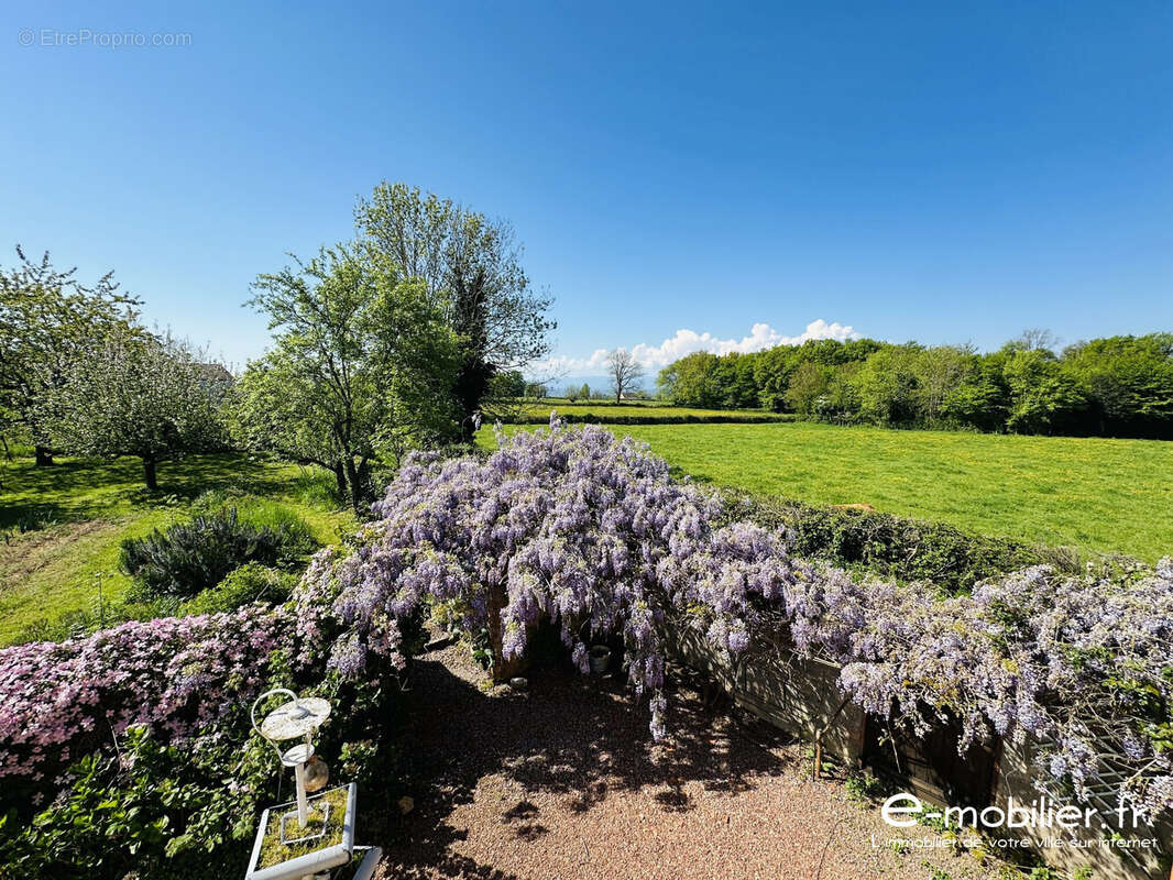 Maison à SAINT-JULIEN-DE-JONZY