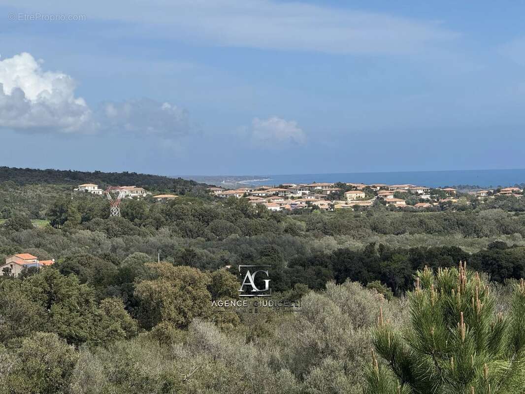 Terrain à SOLARO