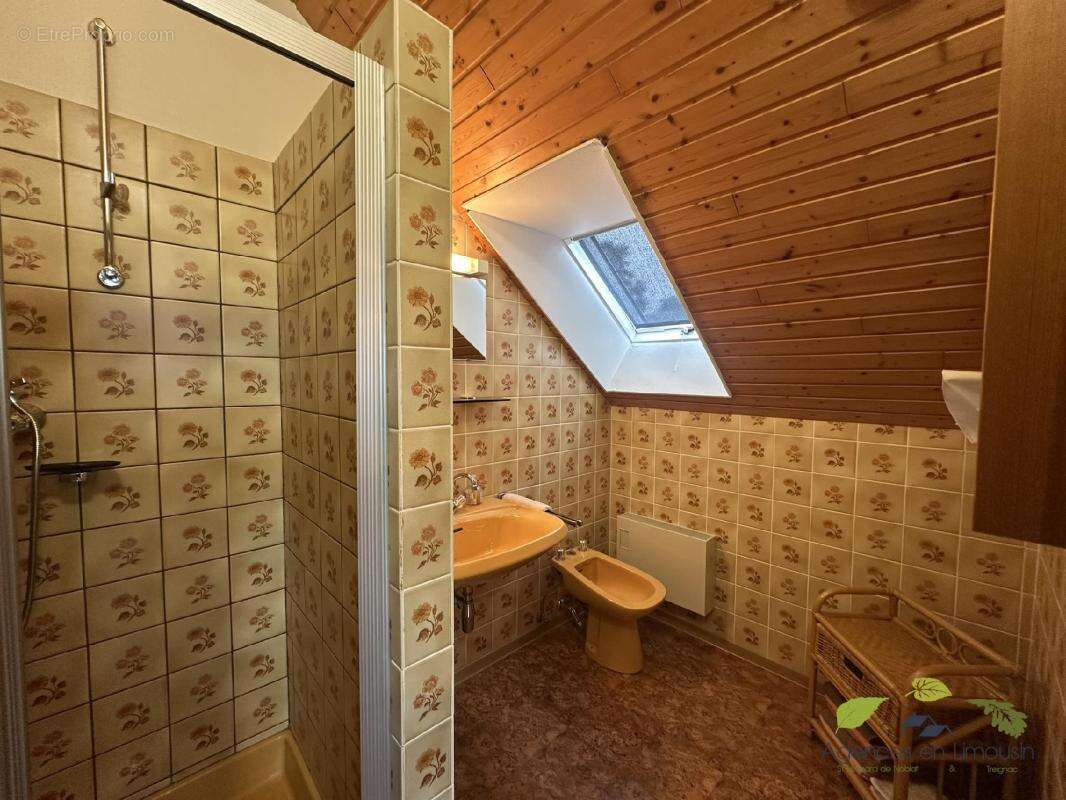 Maison à PEYRAT-LE-CHATEAU