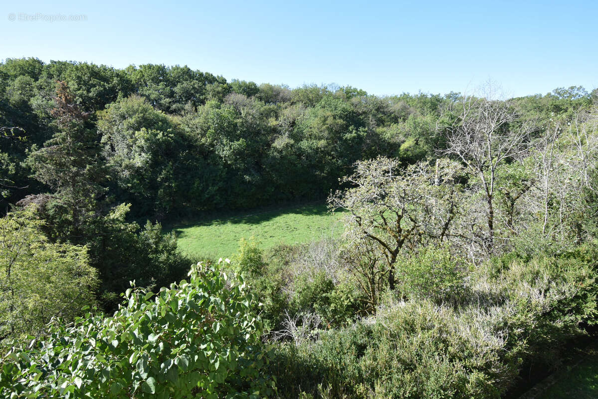 Maison à MONTAIGU-DE-QUERCY