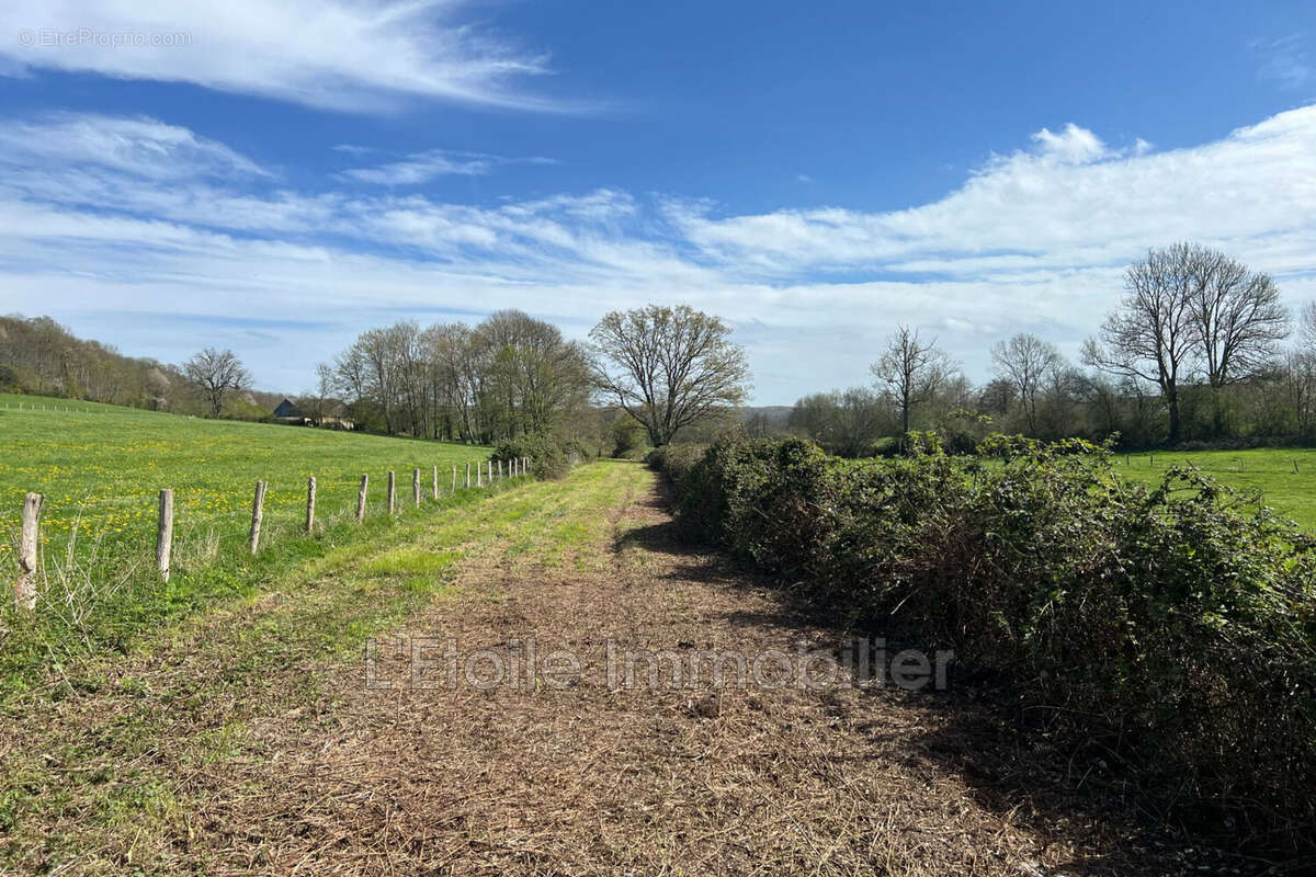 Maison à MORTAGNE-AU-PERCHE