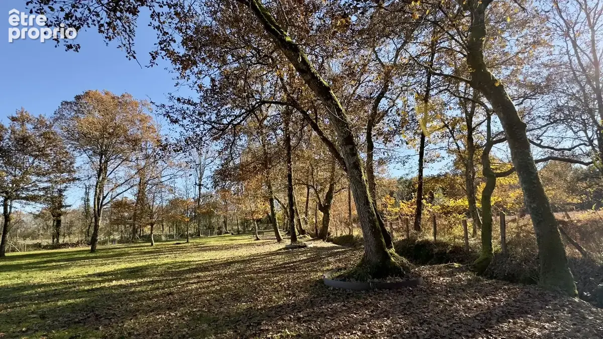 Maison de caractère avec piscine sur environ 2 hectares - photo 8