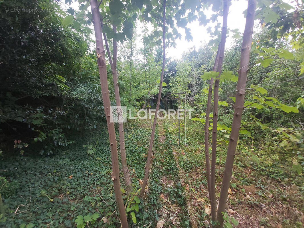 Terrain à LE RAINCY