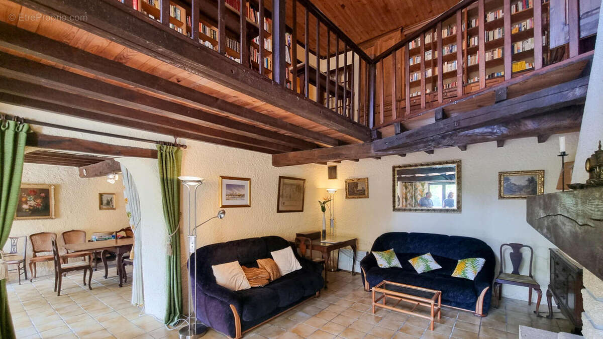 salon et bibliothéque - Maison à PEYREFITTE-DU-RAZES