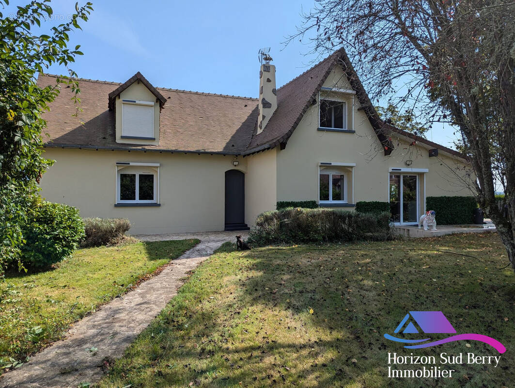 Façade avant - Maison à THEVET-SAINT-JULIEN