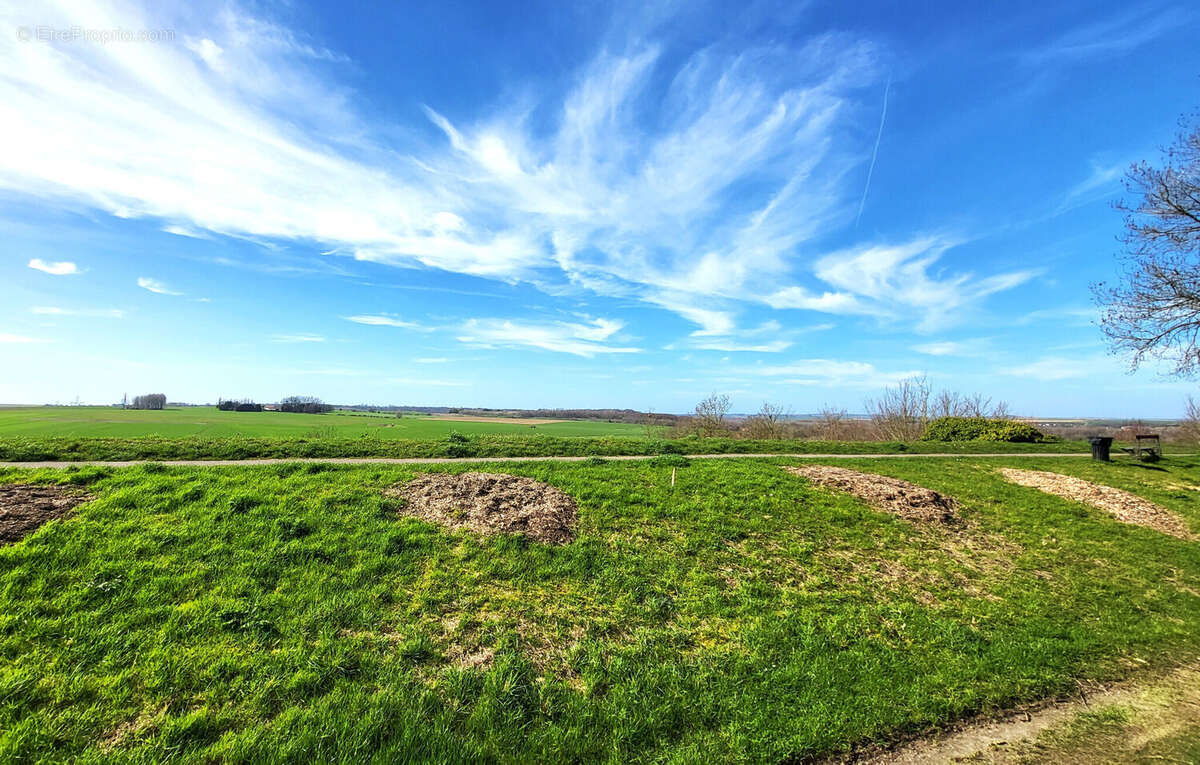 Photo 6 - Appartement à MONTREUIL