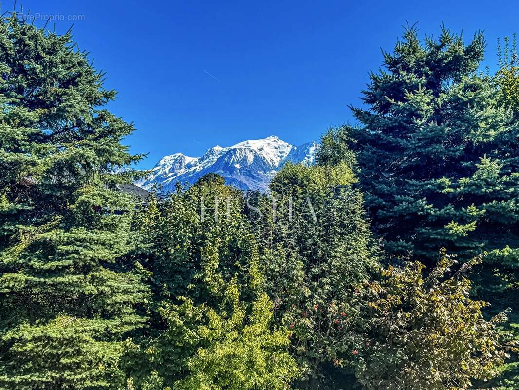 Commerce à COMBLOUX