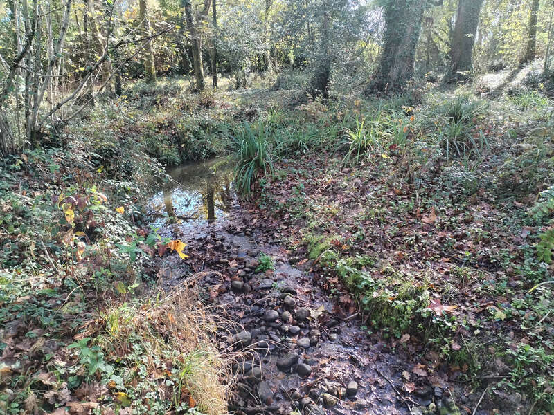Terrain à AMOU