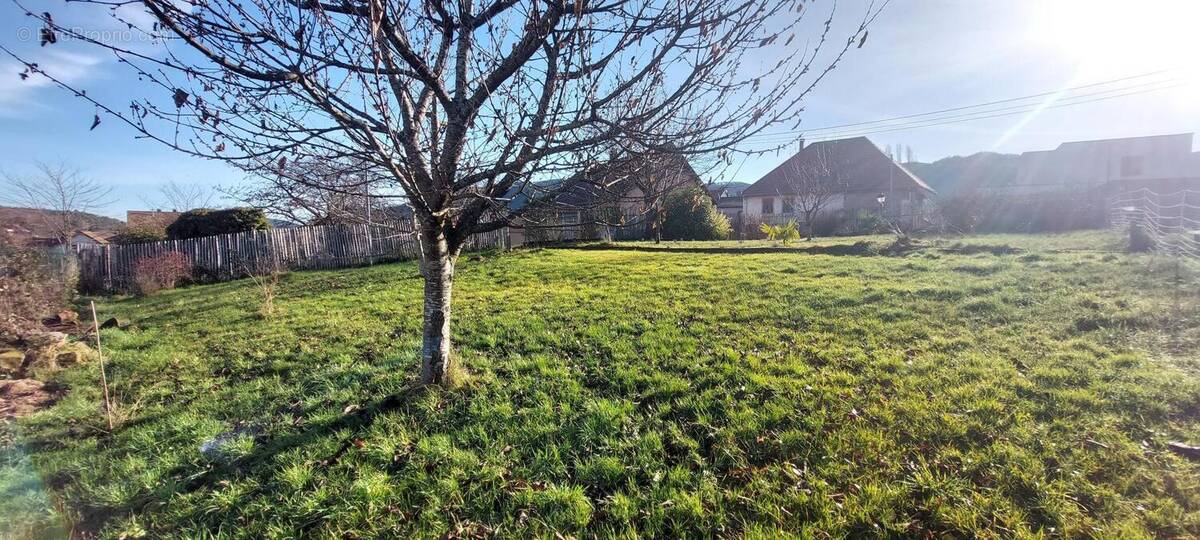 Photo 1 - Terrain à LUTZELHOUSE